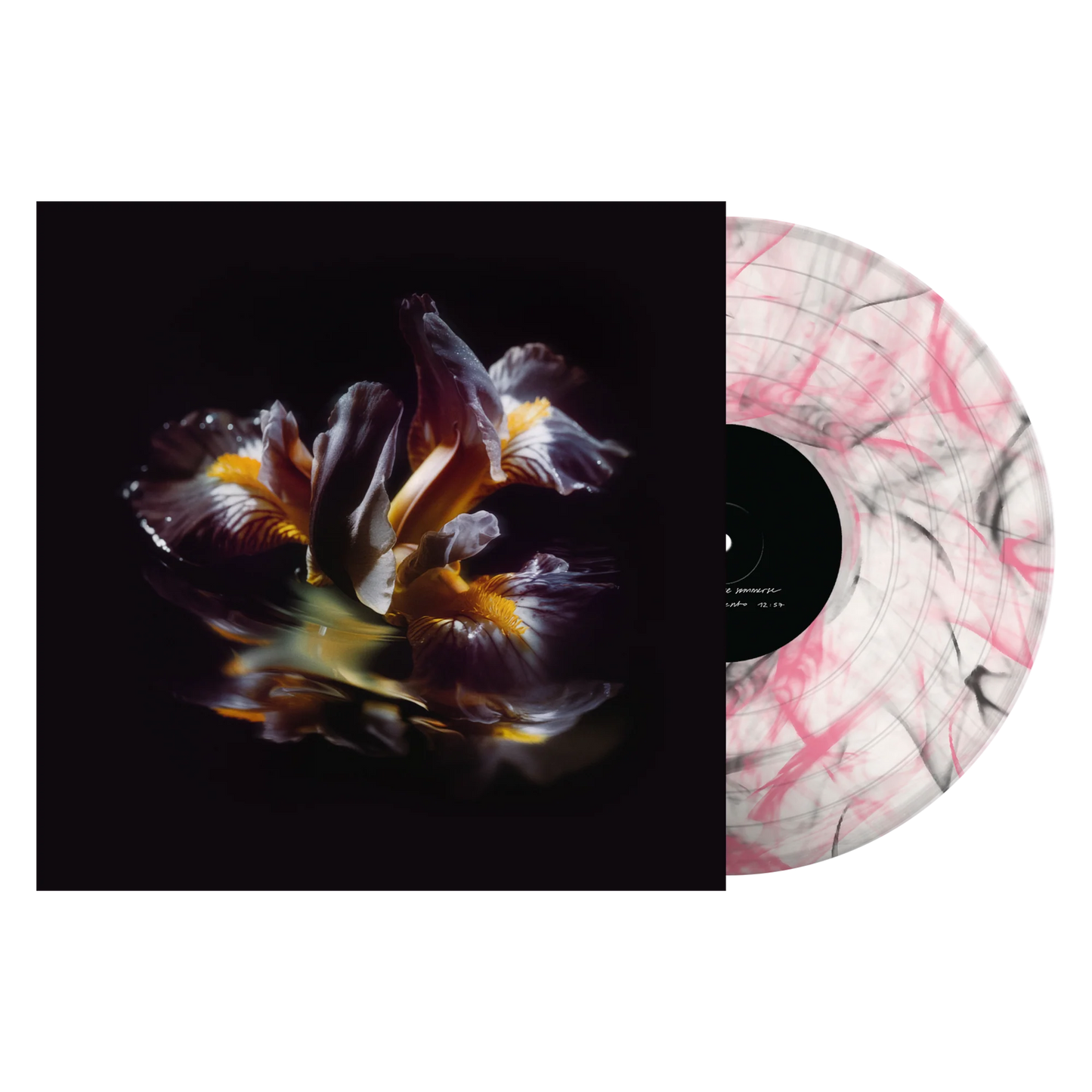 Raein "Forme Sommerse" LP