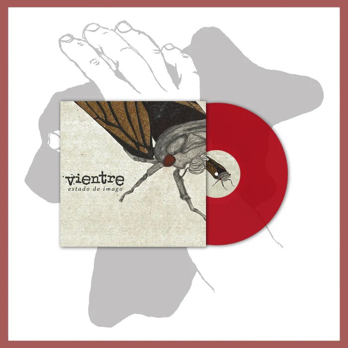 Vientre "Estado De Imago"