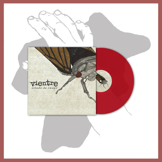 Vientre "Estado De Imago"