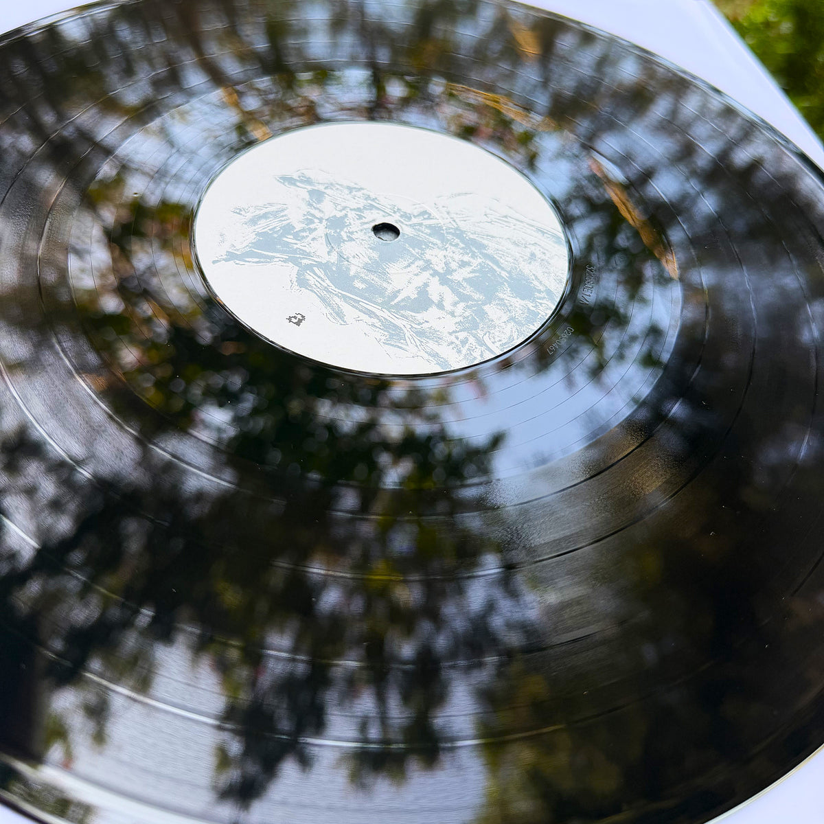 Monterey  "it always passes over me…" 12”LP