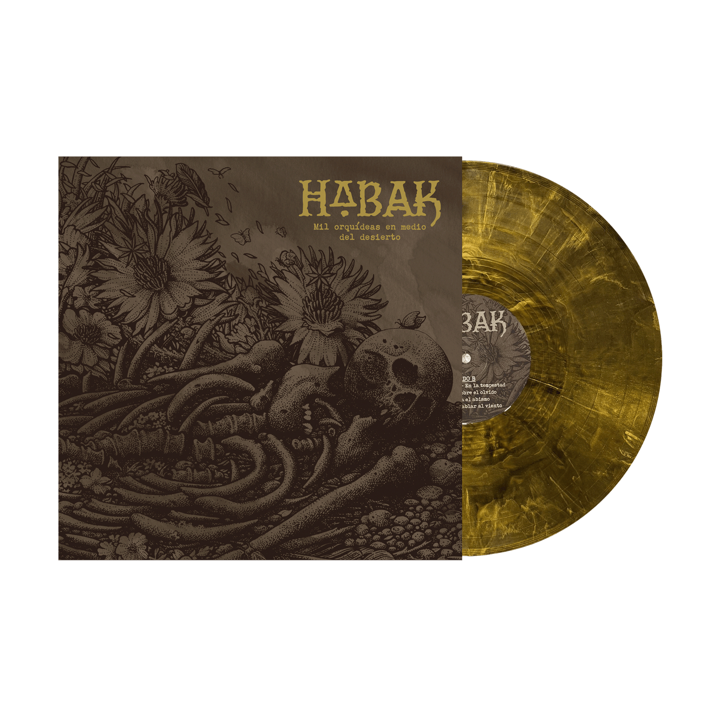 Habak "Mil Orquídeas En Medio Del Desierto"