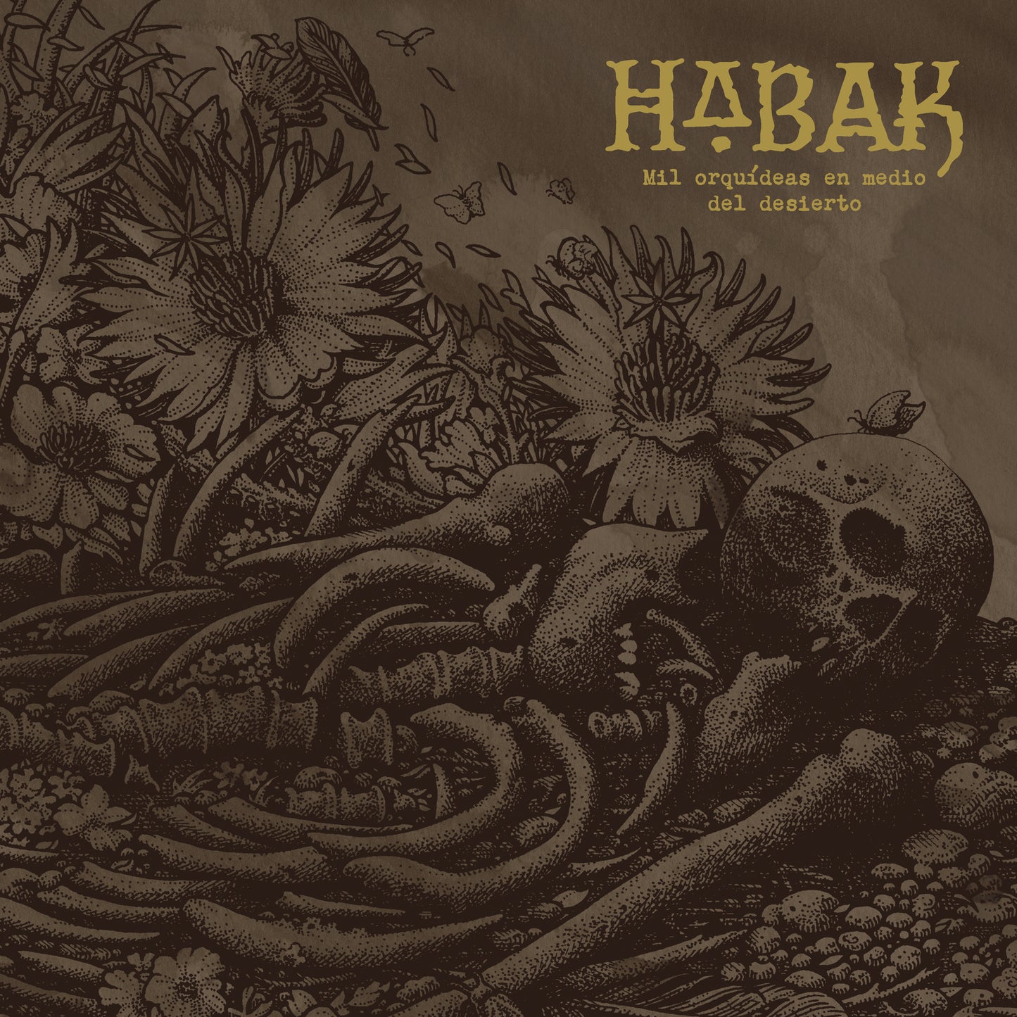 Habak "Mil Orquídeas En Medio Del Desierto"