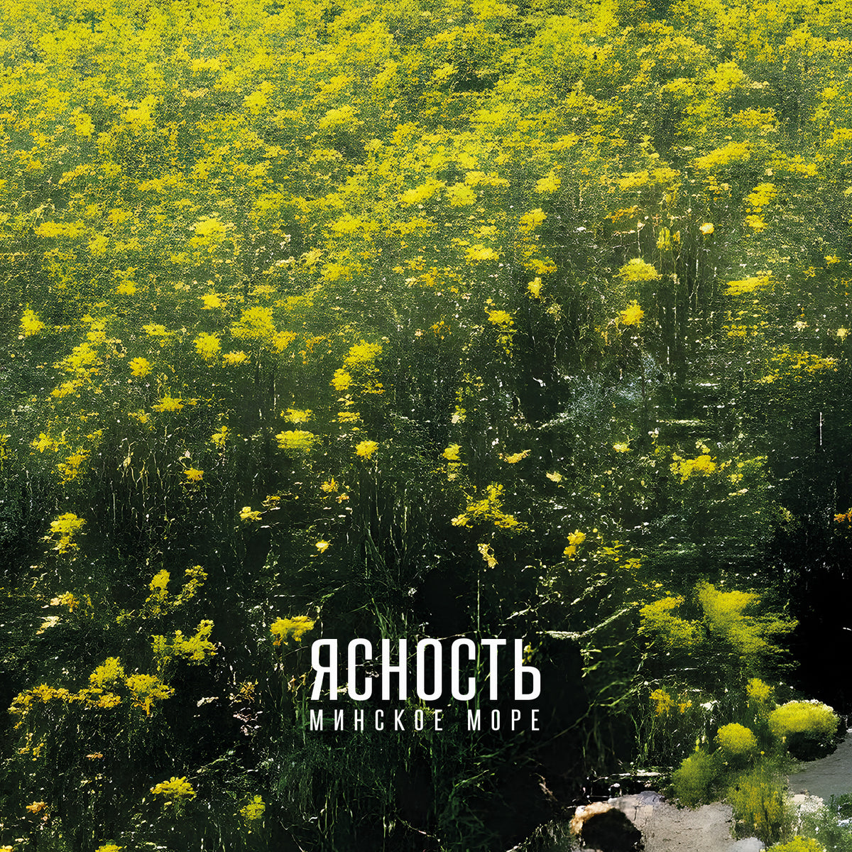 Lucidity "The Minsk Sea"