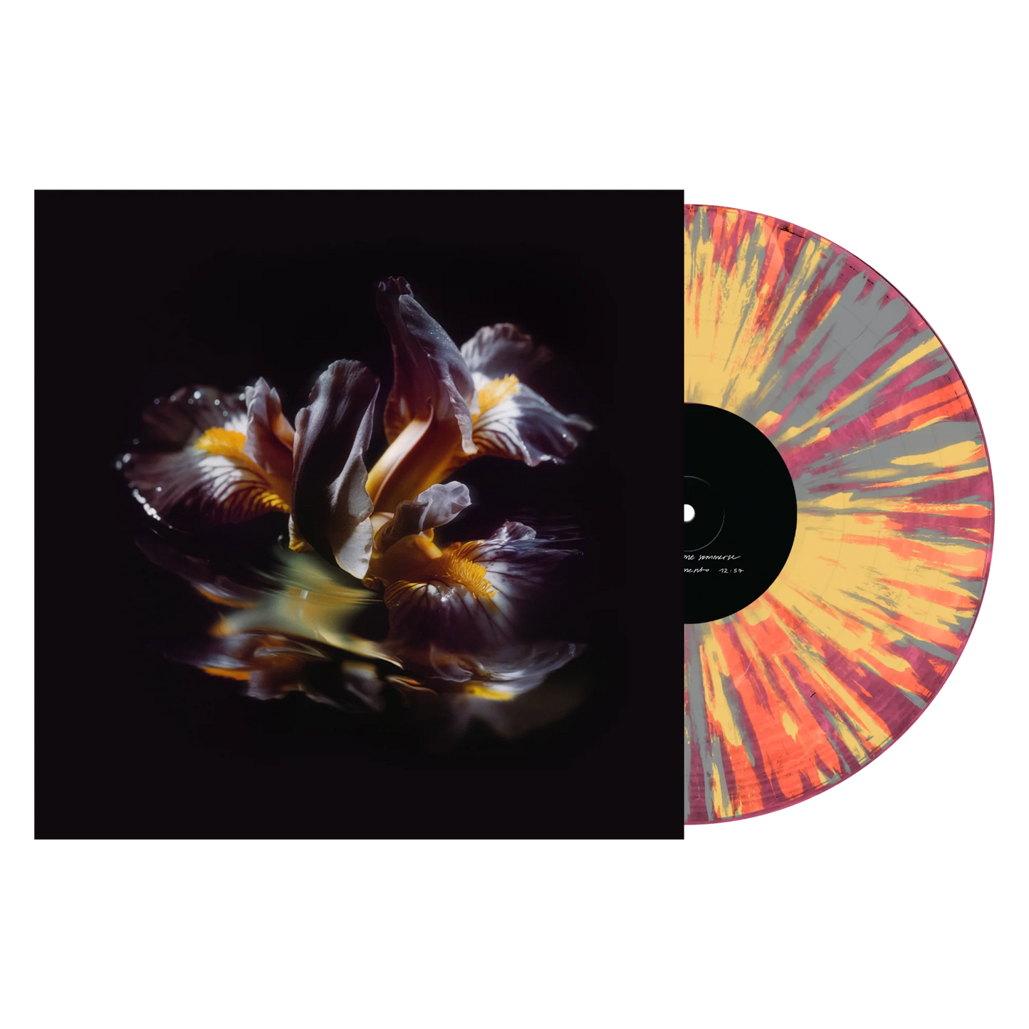 Raein "Forme Sommerse" LP