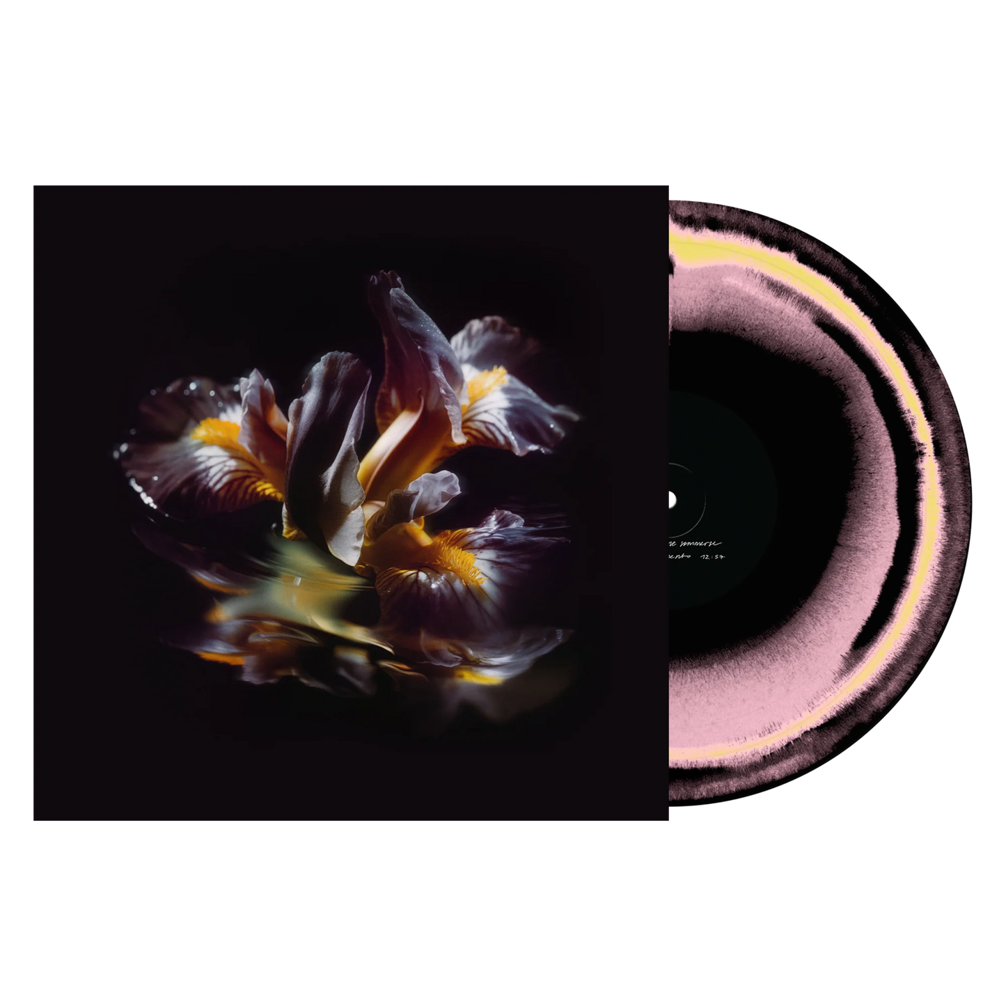 Raein "Forme Sommerse" LP