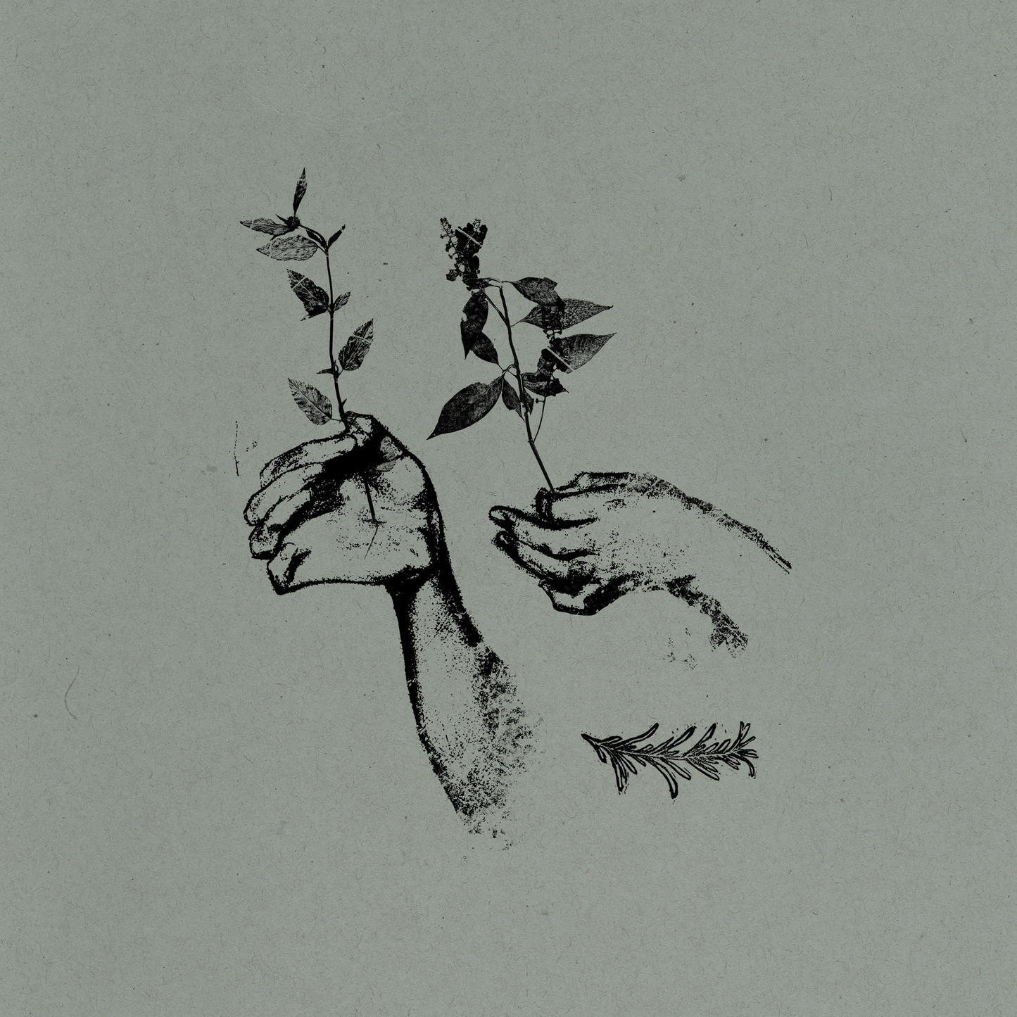 Rosemary Nods Upon The Grave "EP 1 + 2"