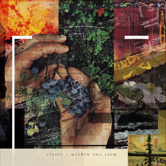 Closer "Within One Stem"