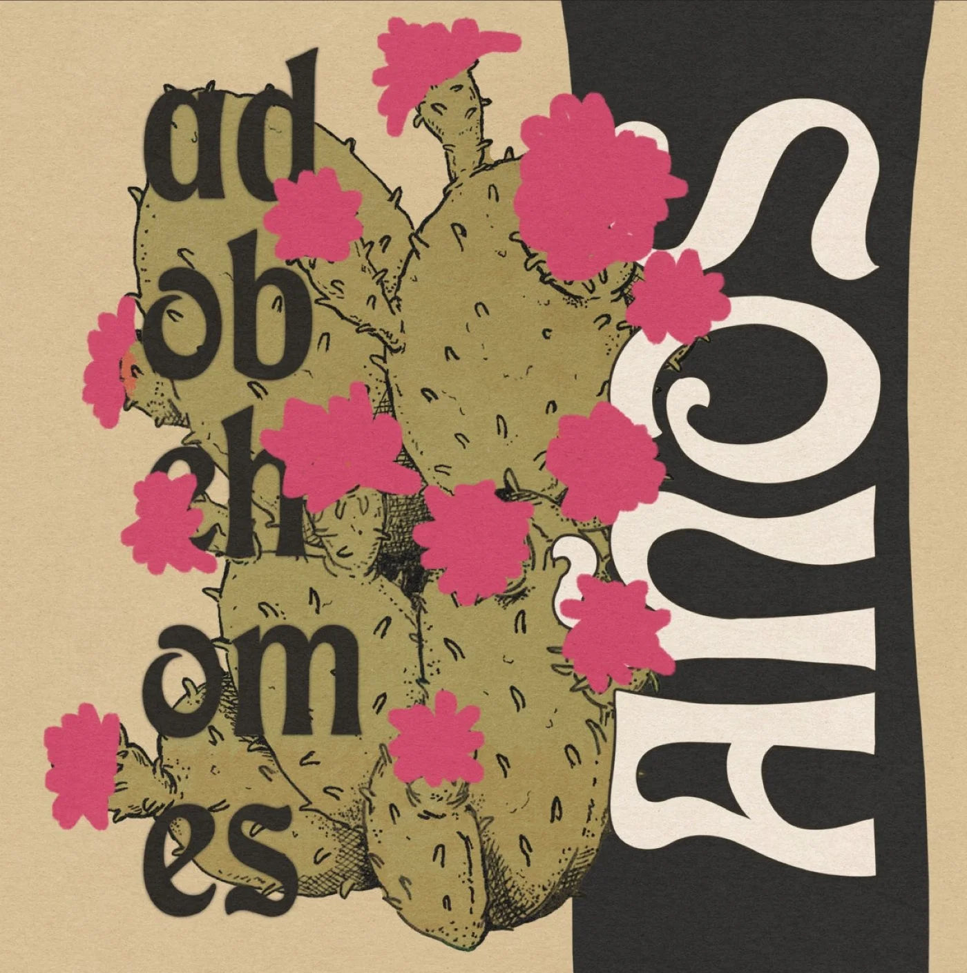 Adobe Homes "Años" 12"