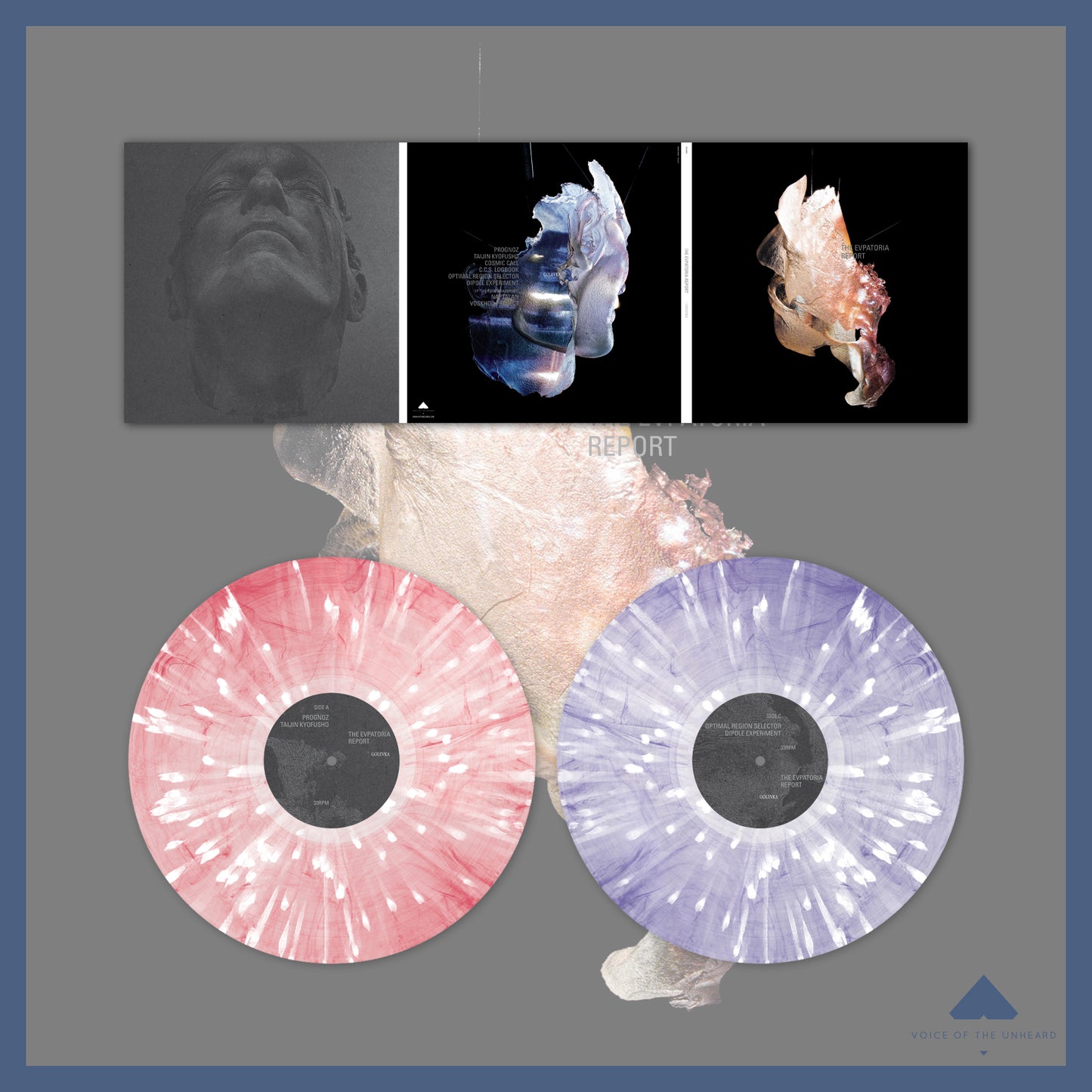 The Evpatoria Report "Golevka"