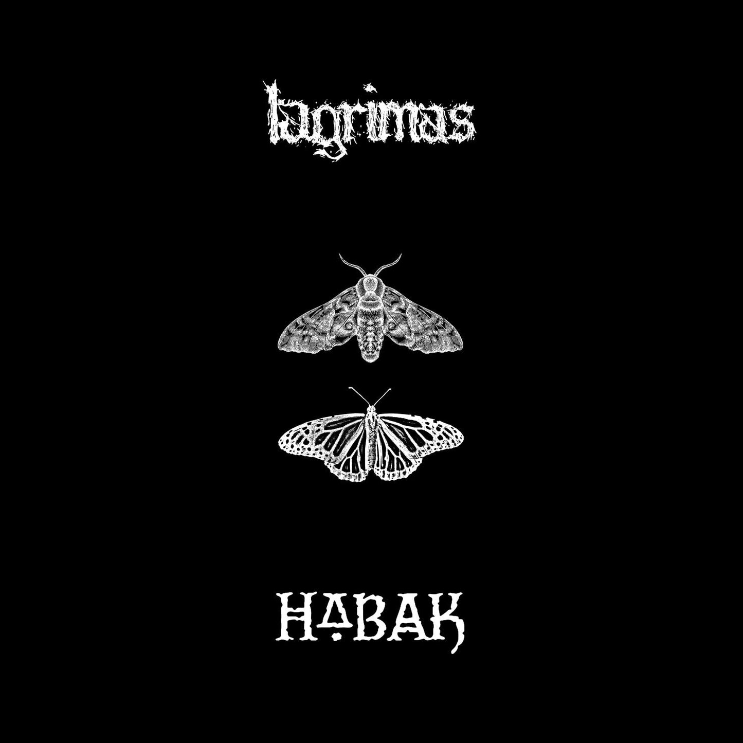 Lágrimas / Habak "Split" LP