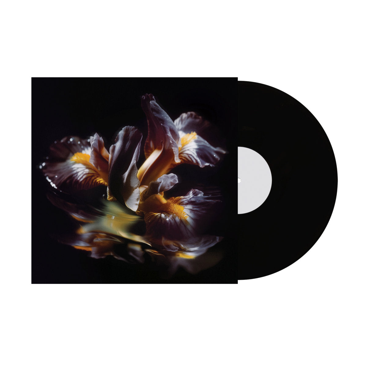 Raein "Forme Sommerse" LP